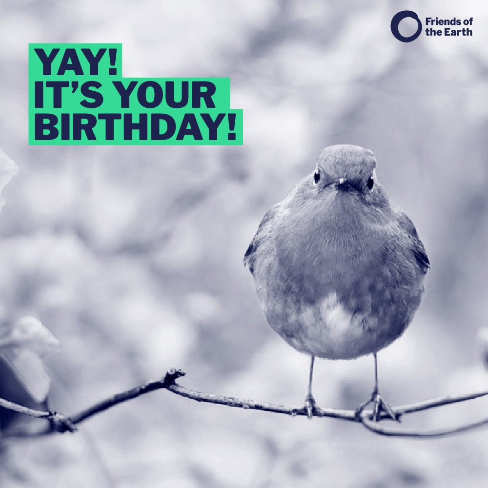 A robin sitting on a branch, overlaid with text saying “Yay! It’s your birthday!"