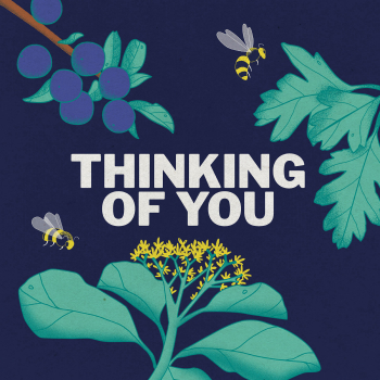 Hand drawn graphic of flowers and bees, with bold text in the middle saying “Thinking of you”