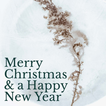 Simple floral image with a white background, with text saying “Merry Christmas & a Happy New Year”.